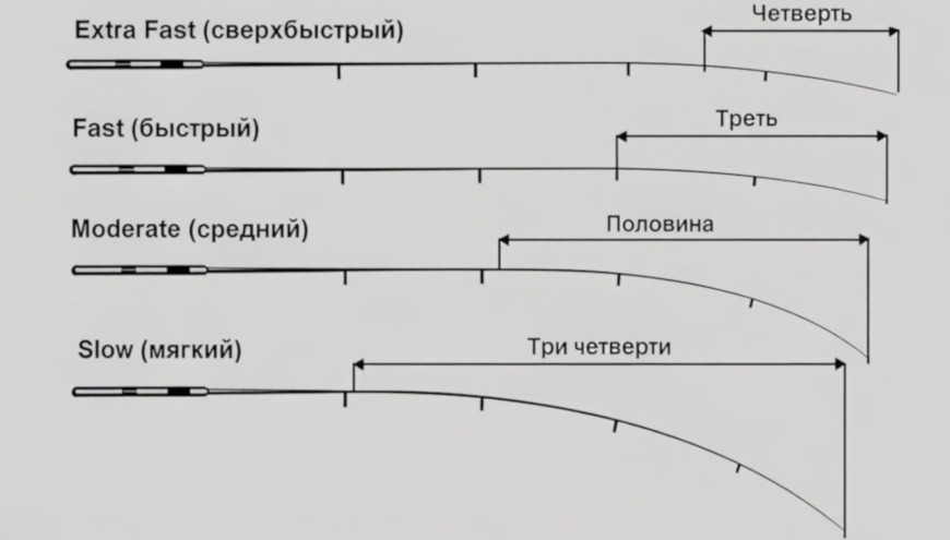 строй спиннинга новичку нужен регуляр